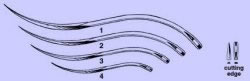 Double Curved Needles