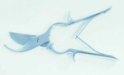 Constable Shears