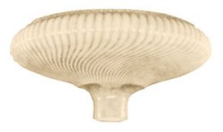 Replacement Lamp Shade