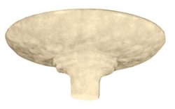 Replacement Lamp Shade