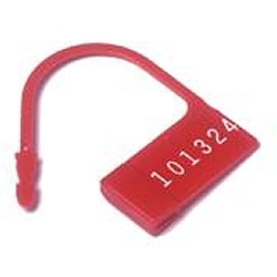 Disposable Lock